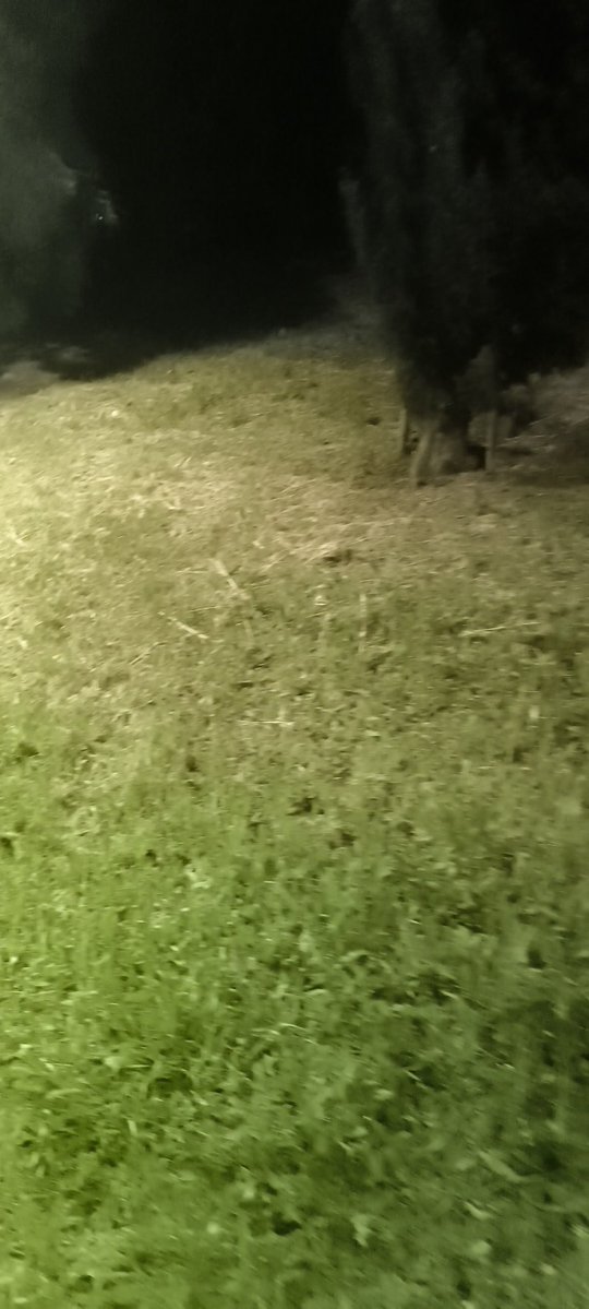 📌 jardim da estrela em dez minutos quem quiser ajustar contas