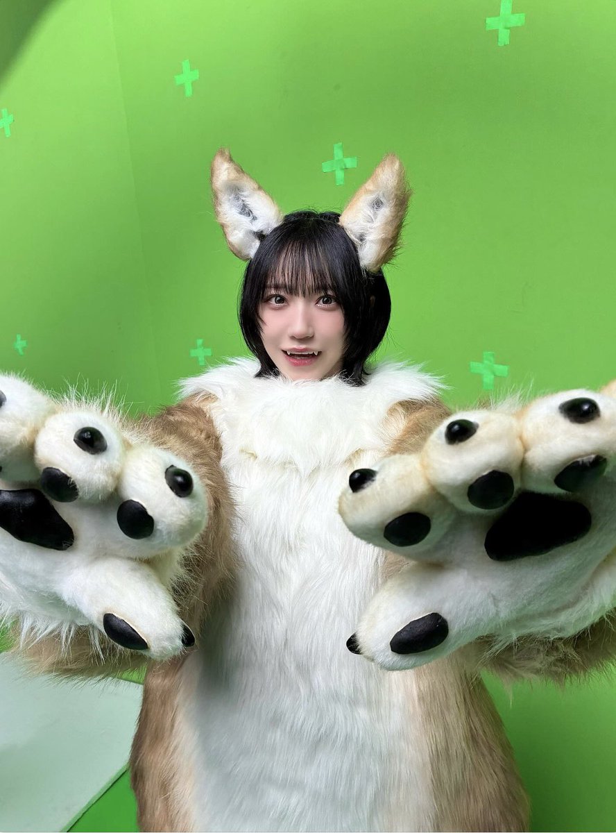 フルグラ🌱 tweet media