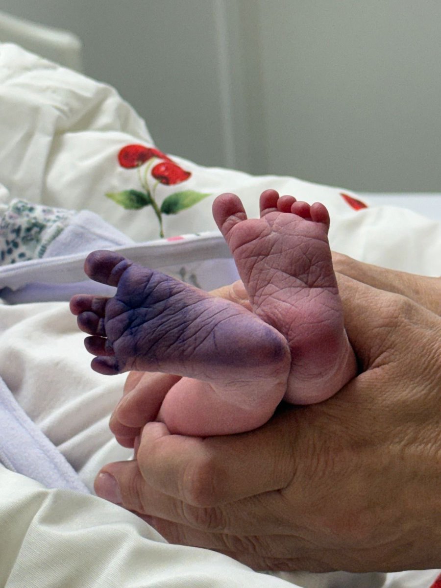 Luiz Felipe França tweet media