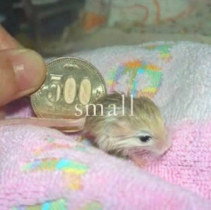 leni ᵎᵎ S5 SPOILERS tweet media