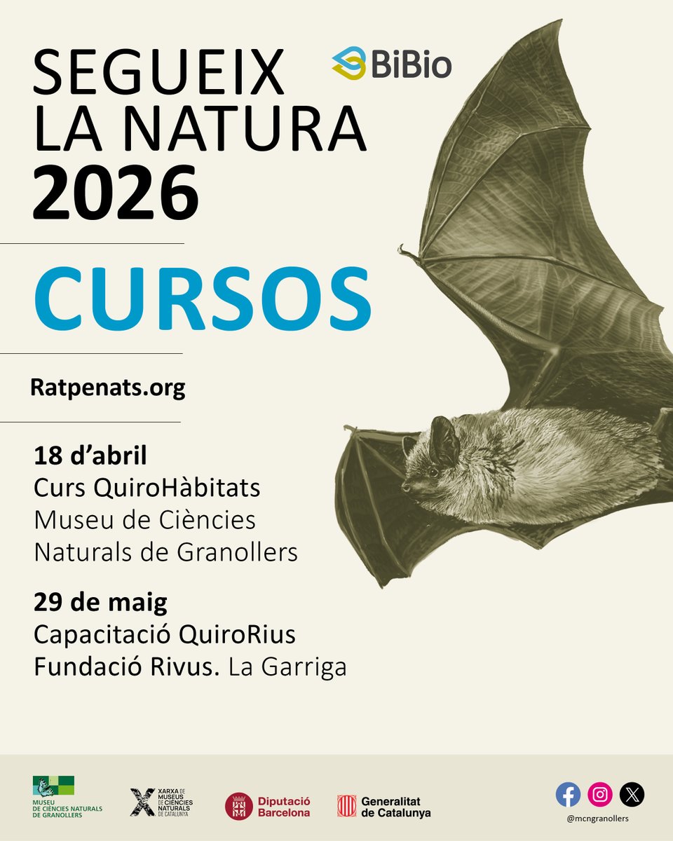 Ratpenats_Cat's tweet image. Cursos i Nits de Ratpenats planificats des del Programa de Seguiment de Ratpenats i altres associacions col·laboradores!
@VolAmbiental @voluntarisparcs @XCNatura @xarxadeparcs @diba @observatori_nat @CREAF_ecologia @IRBioUB @GBiC_CTF @ctforestal @BETA_TechCentre #bats @SECEMU_