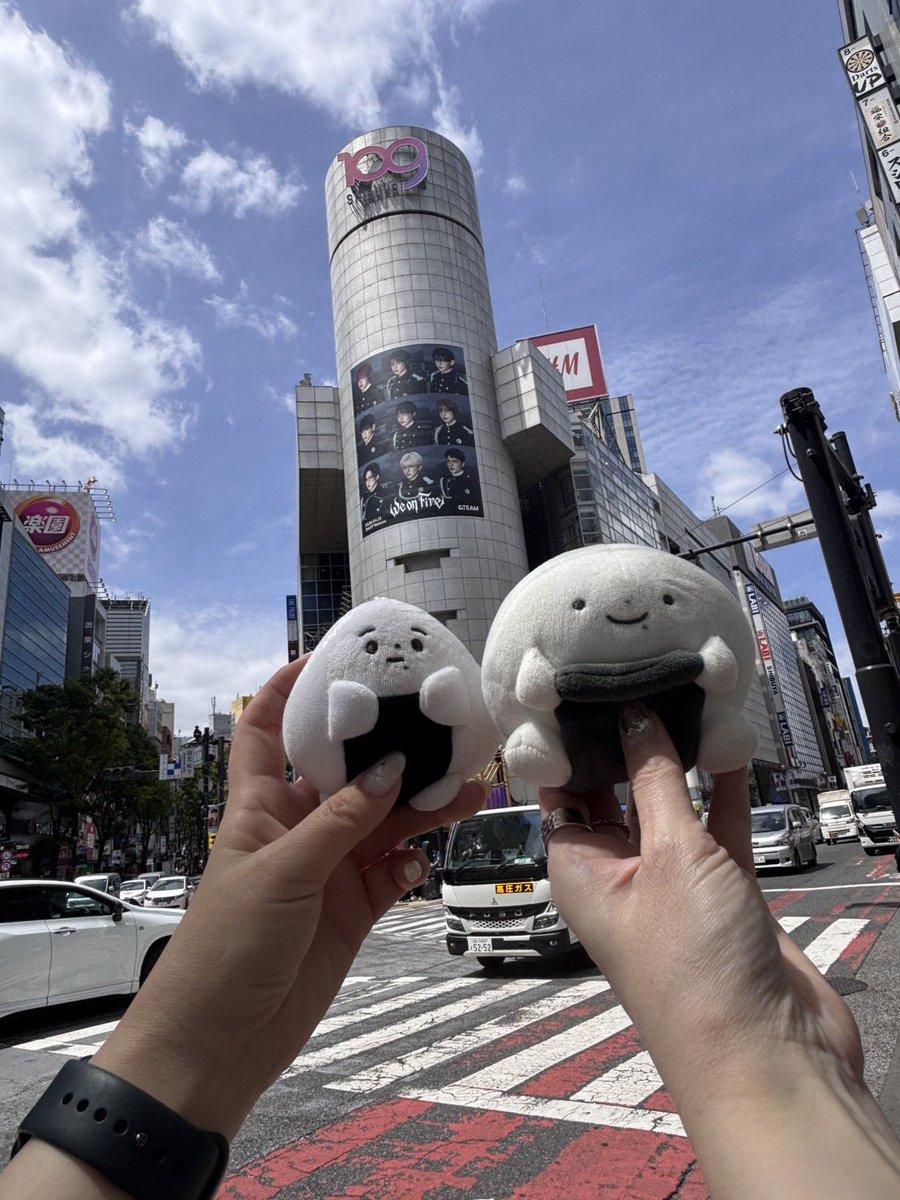 ASA🍚👑 ‎ &ᵀᴱᴬᴹ🅹🅾 🅺 tweet media