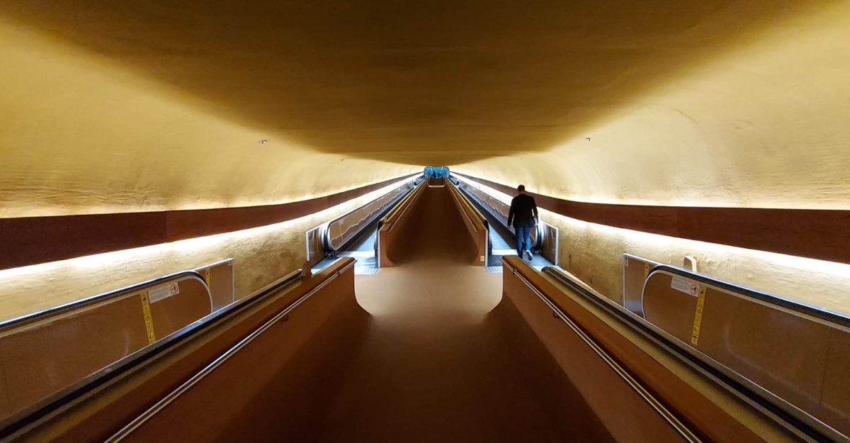 matheus carvalho tweet media
