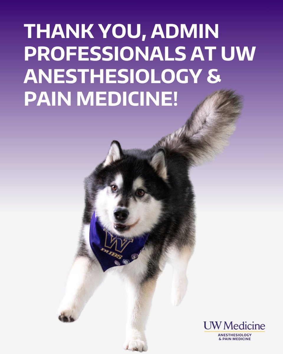 UWAnesthPainMed's tweet image. Happy #AdminProfessionalsDay to the many talented people behind the scenes at @UWAnesthPainMed who support human resources, comms, IT, financial oversight &amp;amp; leadership. Today, we spotlight the depth and breadth of skill sets within our administration teams! #UWMedicine