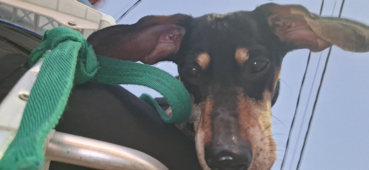 ☆ || Mikky || ☆ tweet media