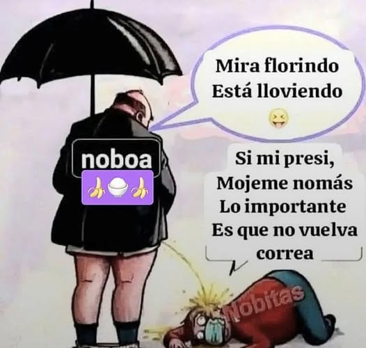AlexFiallosB's tweet photo. @eizuriet https://t.co/kxjmeT3t8r