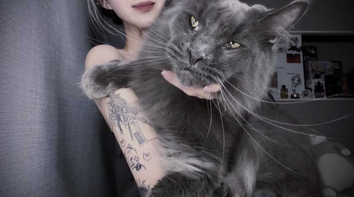 えむくそ 🐦‍⬛🍎 tweet media