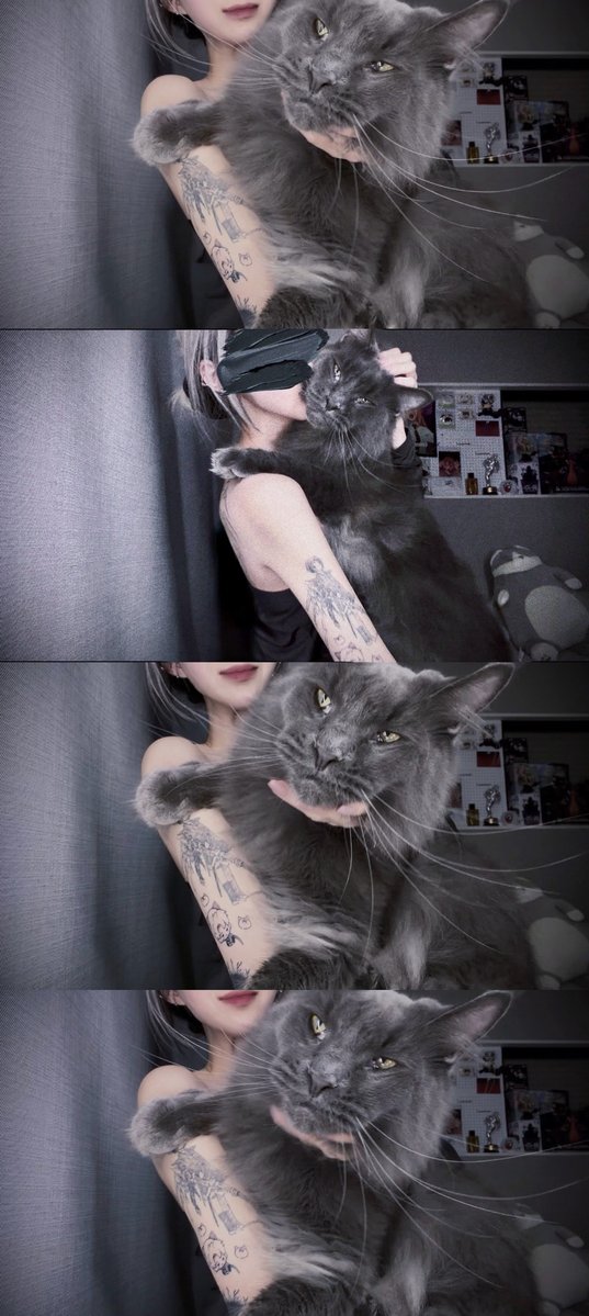 えむくそ 🐦‍⬛🍎 tweet media