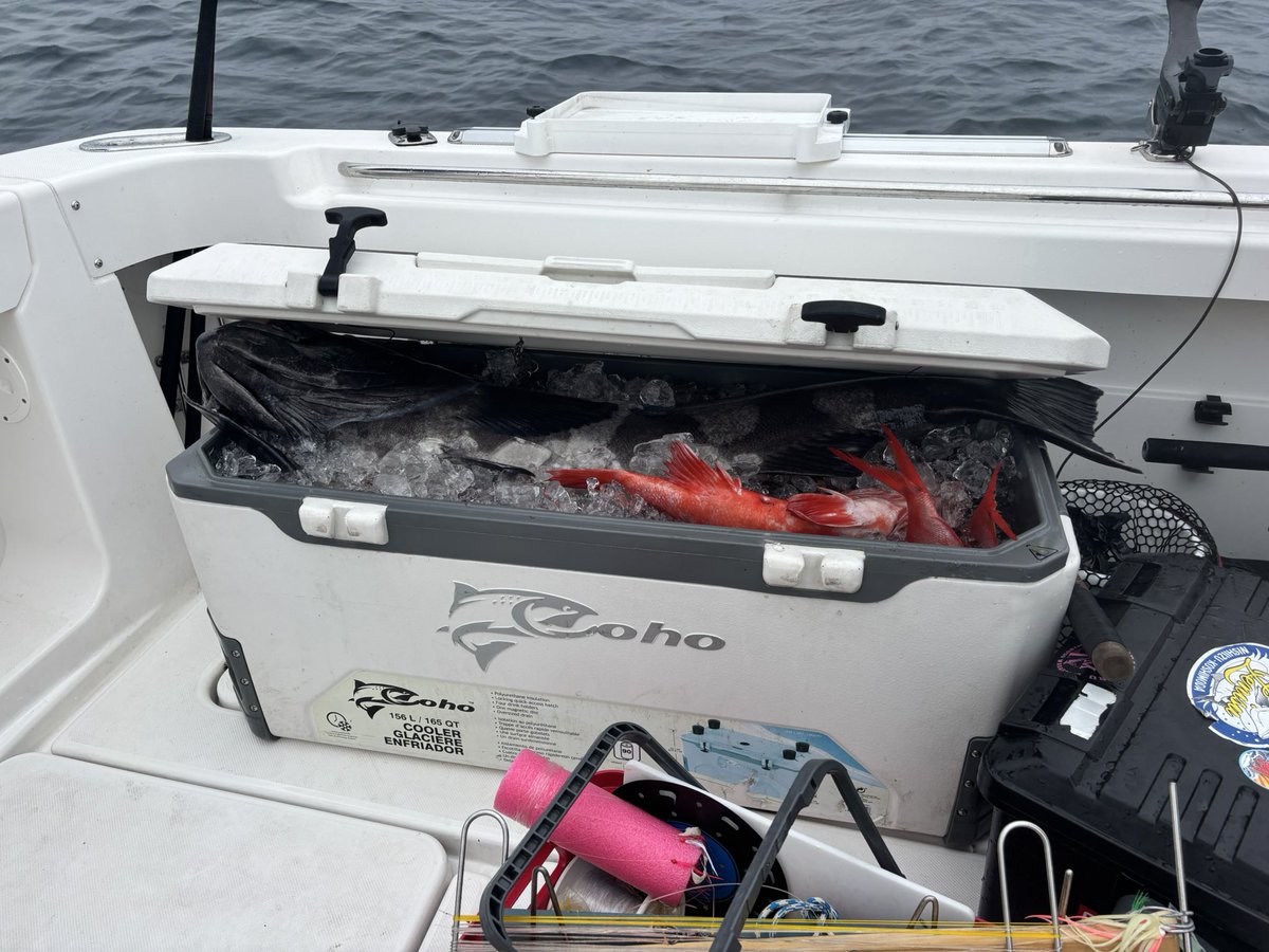 mっちゃん tweet media