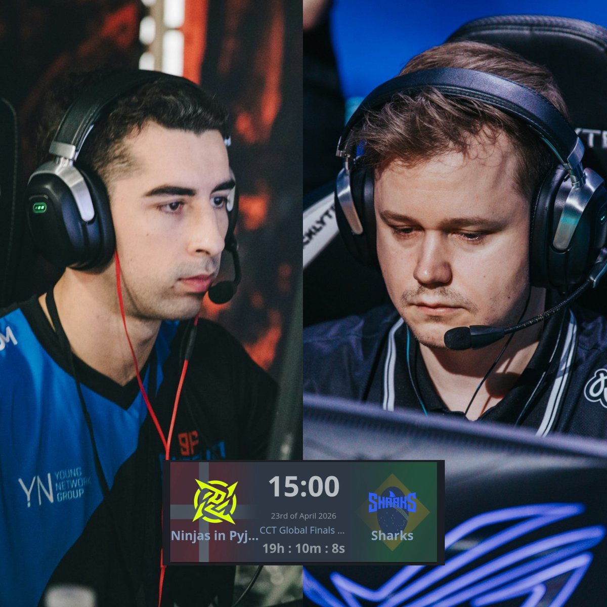 infocsarg tweet media