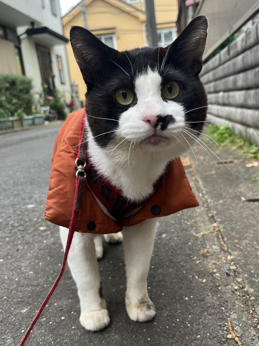 五十嵐  香織 tweet media