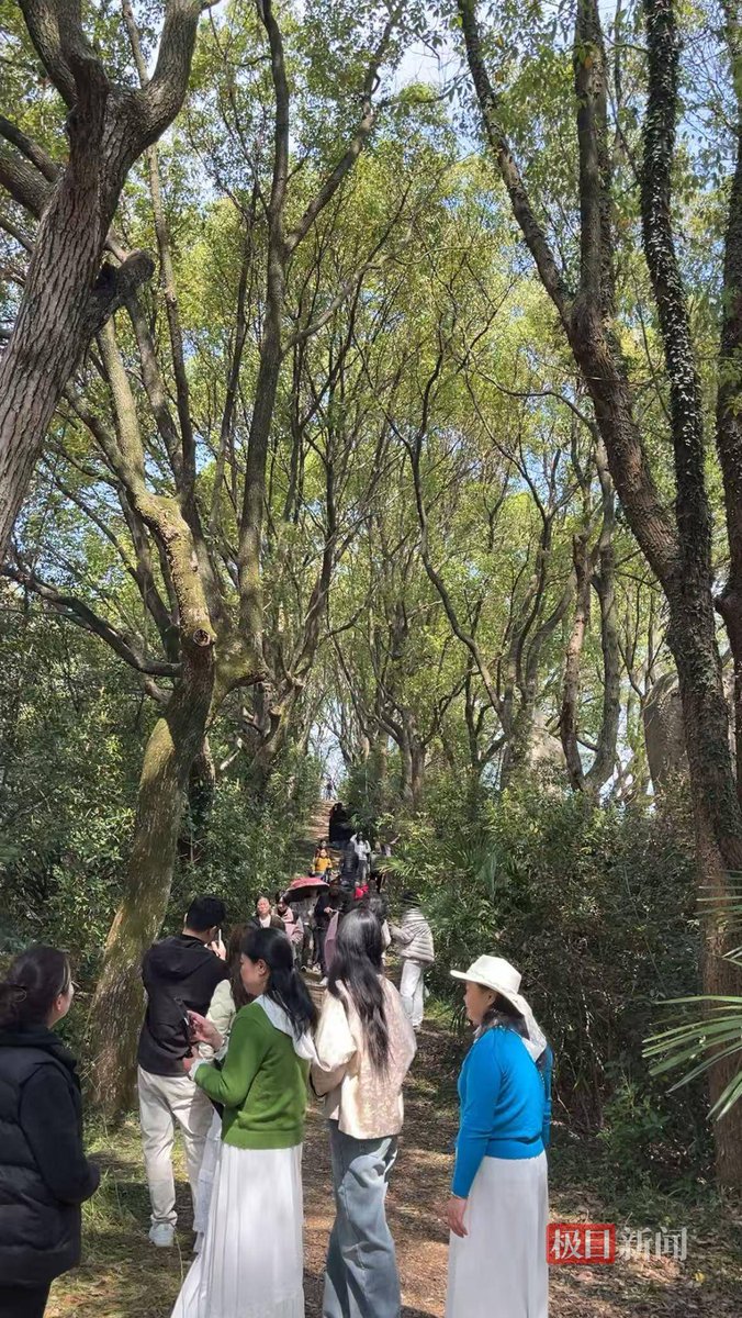 Cool 🥶 tweet media