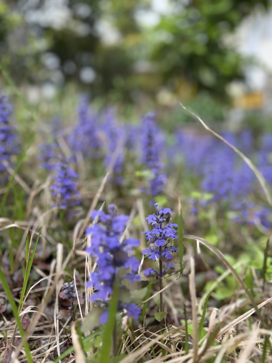 T͙a͙k͙e͙y͙a͙n͙ tweet media