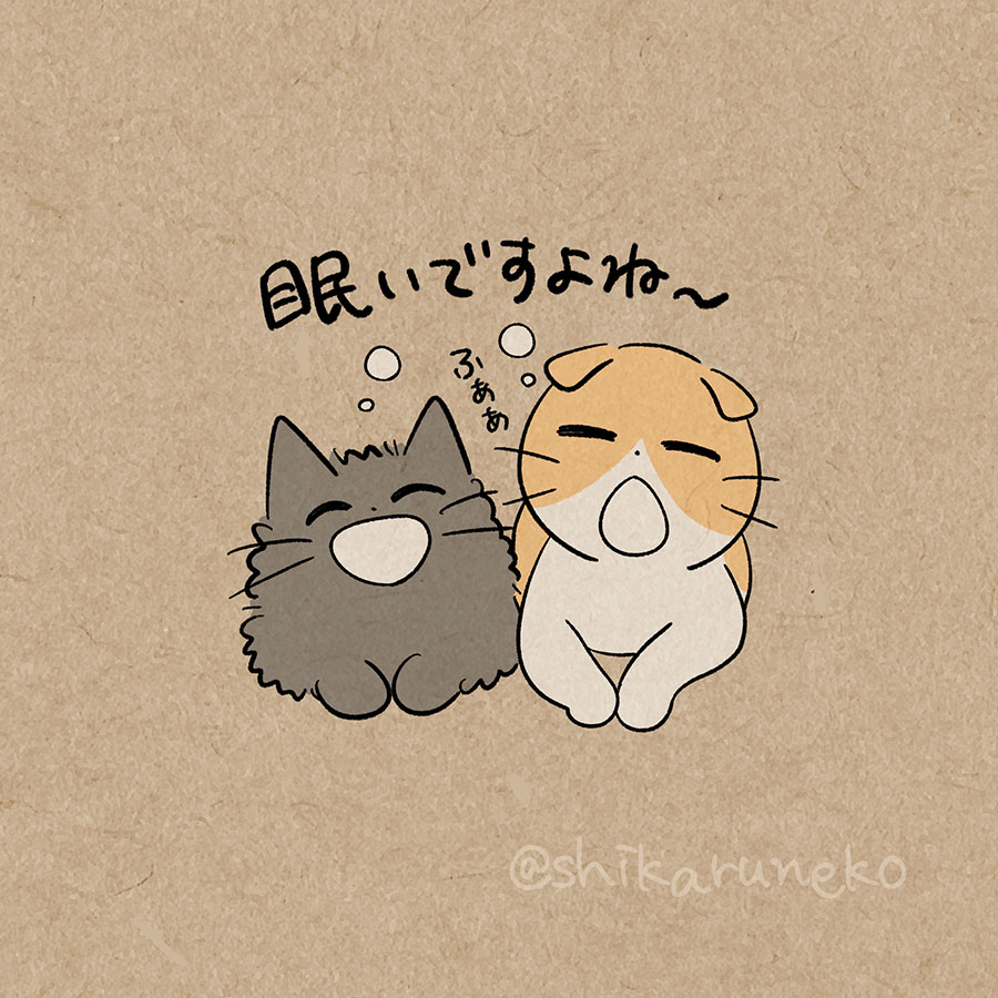 しかるねこ tweet media