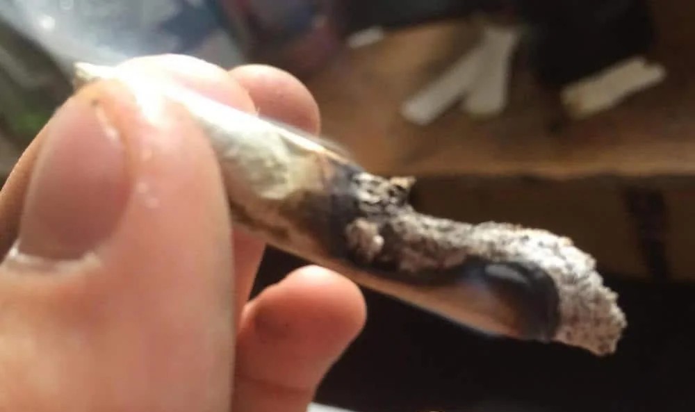 Yoshinabbis (侍) tweet media