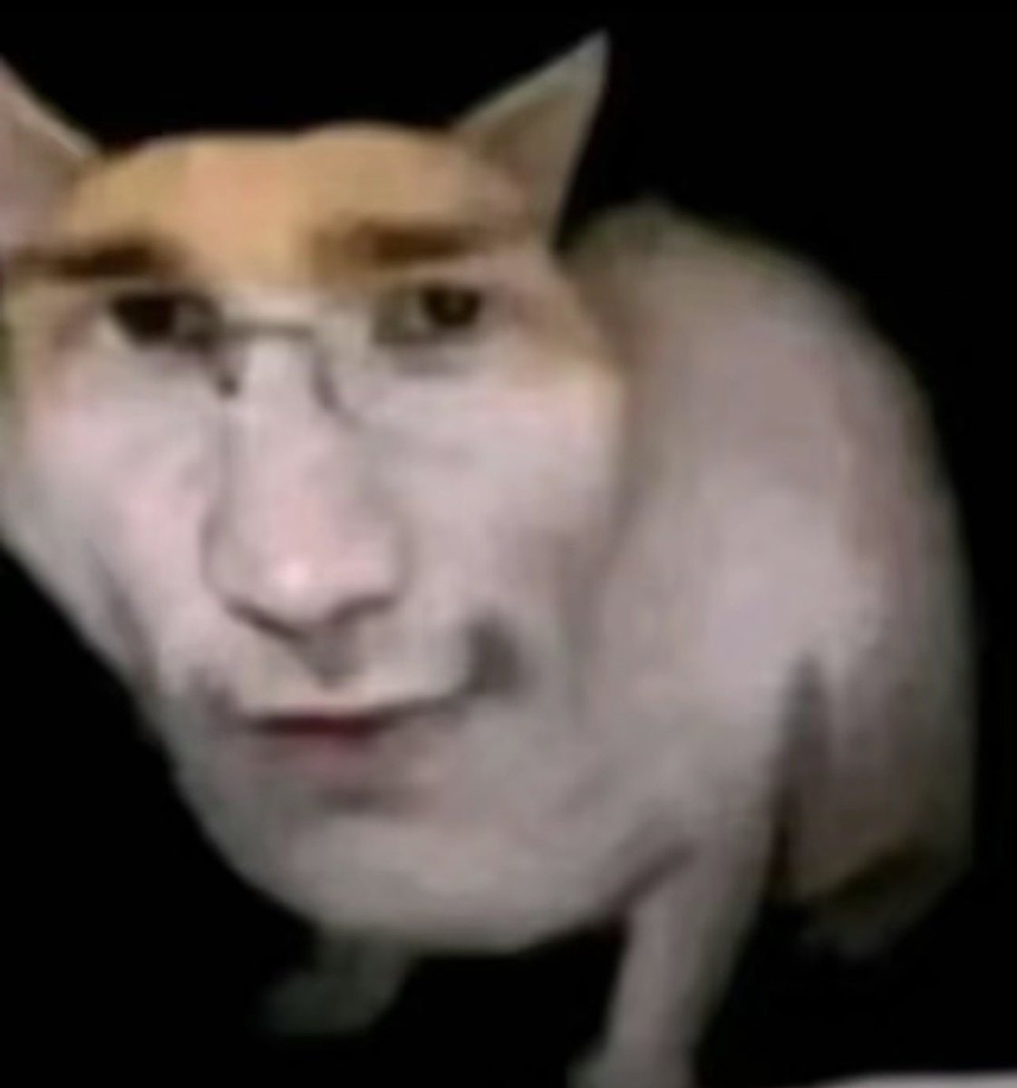 gay chicken enjoyer tweet media