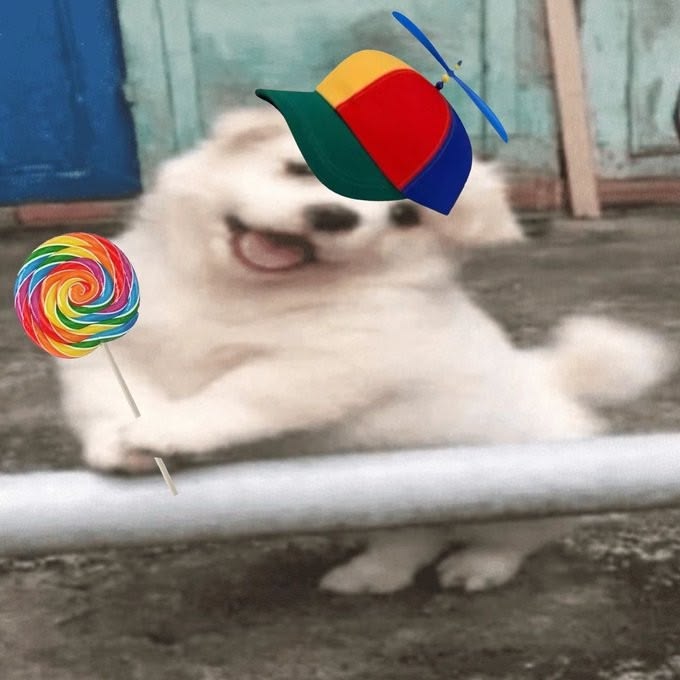 arques ⋆.⭒˚☆˚⭒.⋆ tweet media