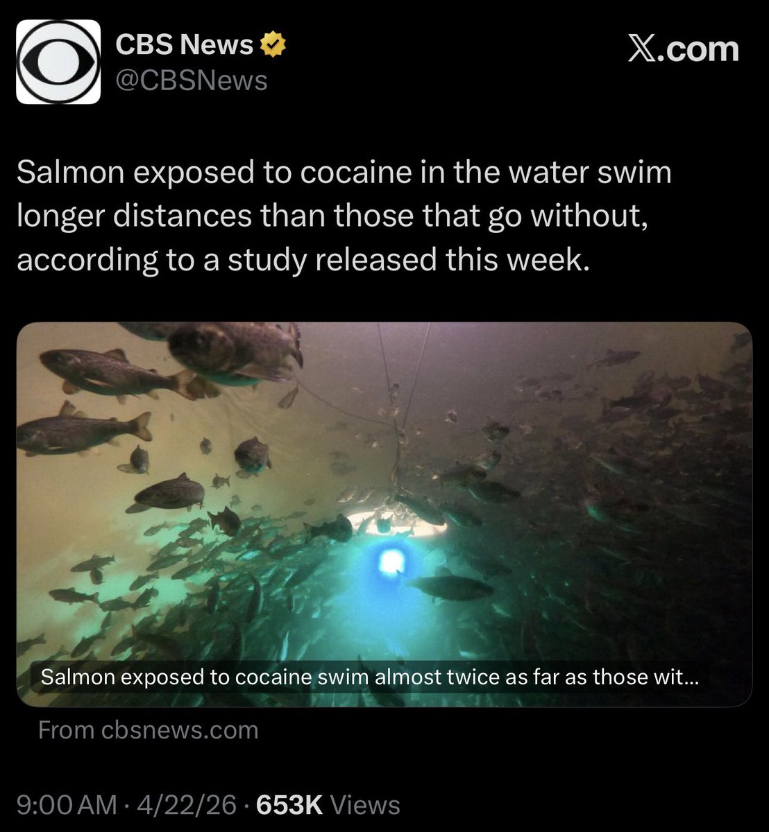 Ron Filipkowski tweet media