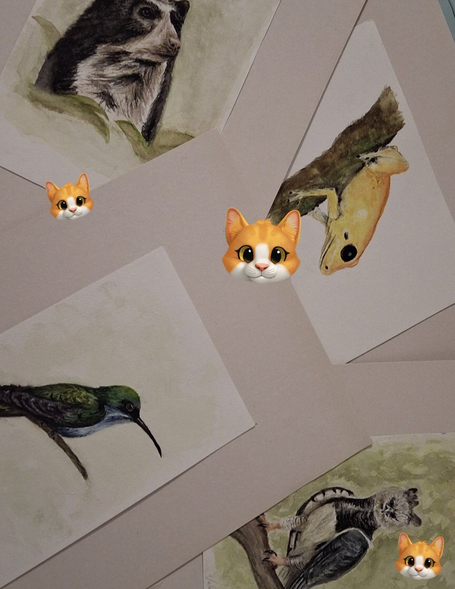 andie 🪭 tweet media