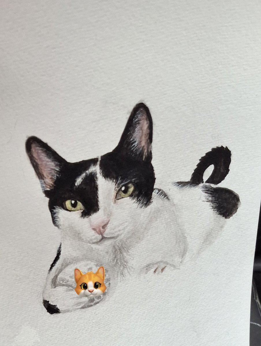 andie 🪭 tweet media