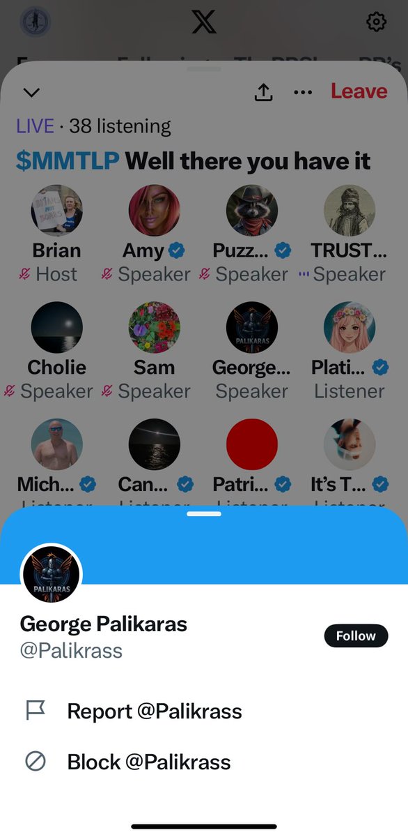 George Palikaras tweet media