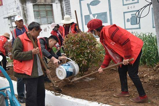 Kellykinney16's tweet image. "Neighborly win! Our block planted 12 saplings today—sunshine, laughs, and future shade shared by all.  #NeighborLove #CommunityGrowth"