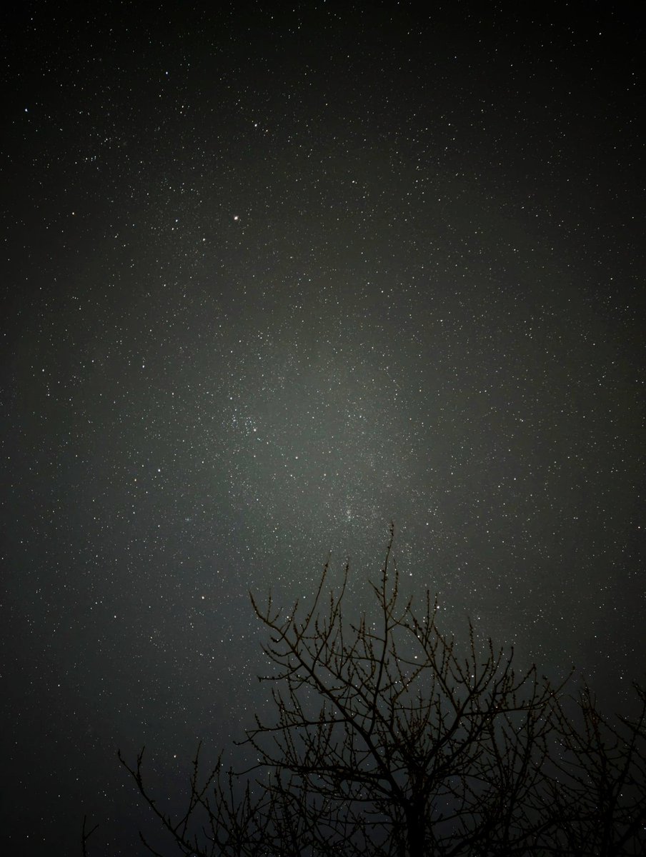 sono✖️🌗 tweet media