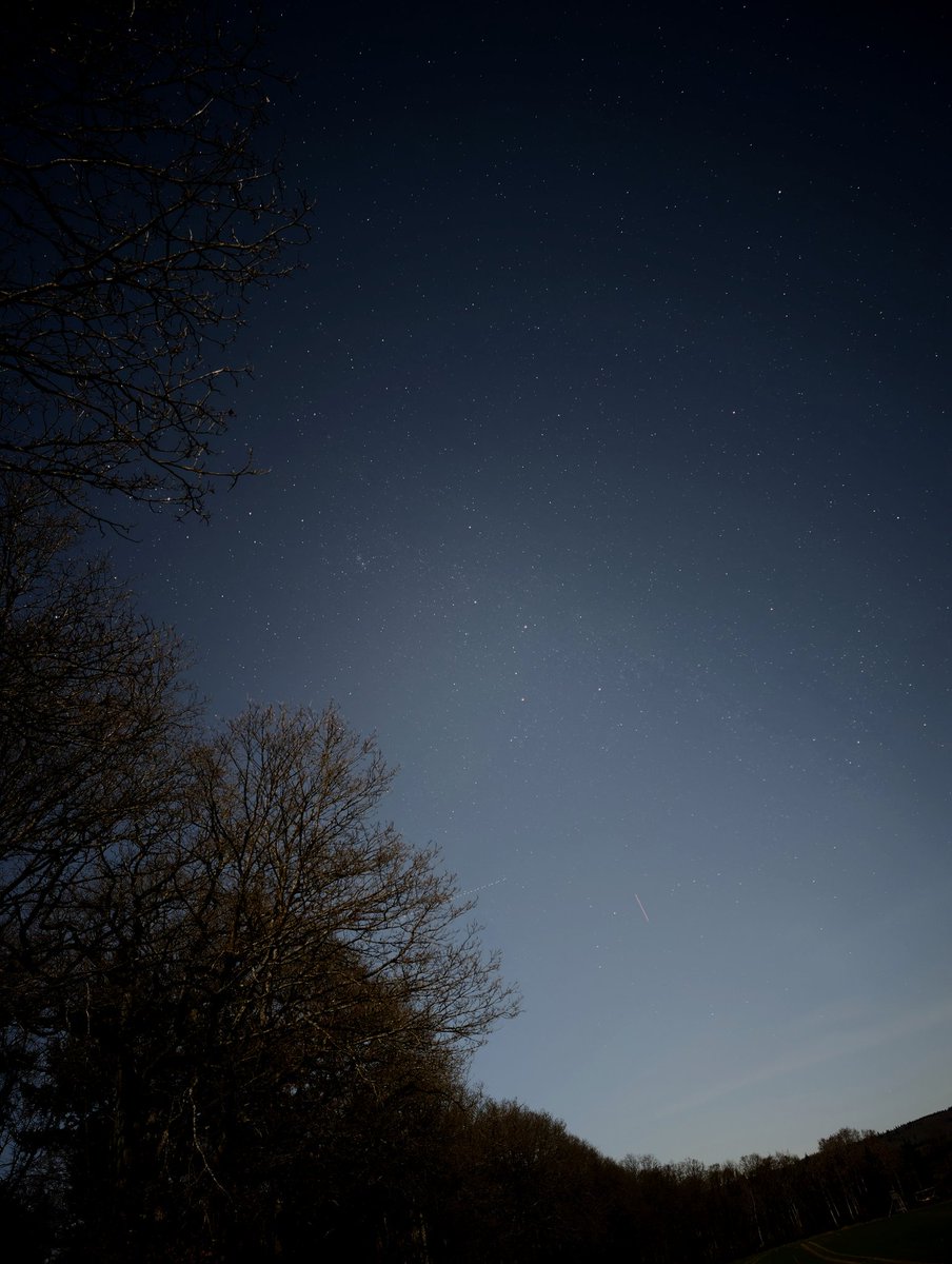 sono✖️🌗 tweet media