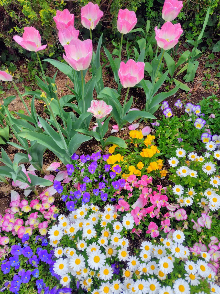 みっち tweet media