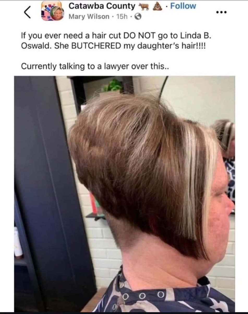 Braindead Bird App tweet media