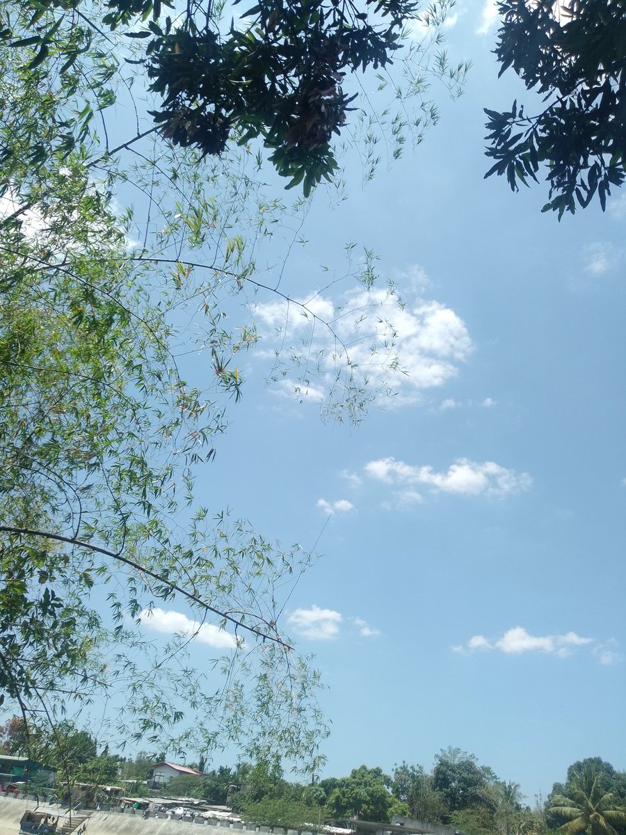 Celistine6️⃣5️⃣🎹 tweet media