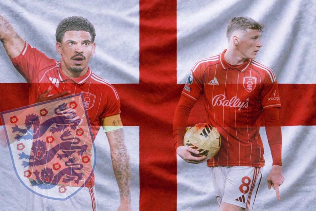 Garibaldi on Camera tweet media