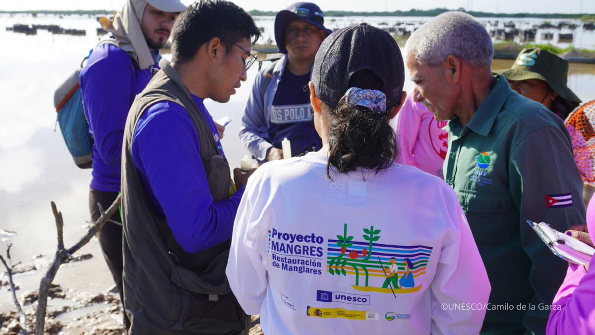 UNESCOMexico's tweet photo. 🐊El proyecto #MangRes de la #UNESCO fortalece capacidades y el aprendizaje práctico con enfoque ecológico, social y económico para la restauración de manglares como solución basada en la naturaleza en #ReservasdeBiosfera de América Latina y el Caribe. https://t.co/w1cR6akto9