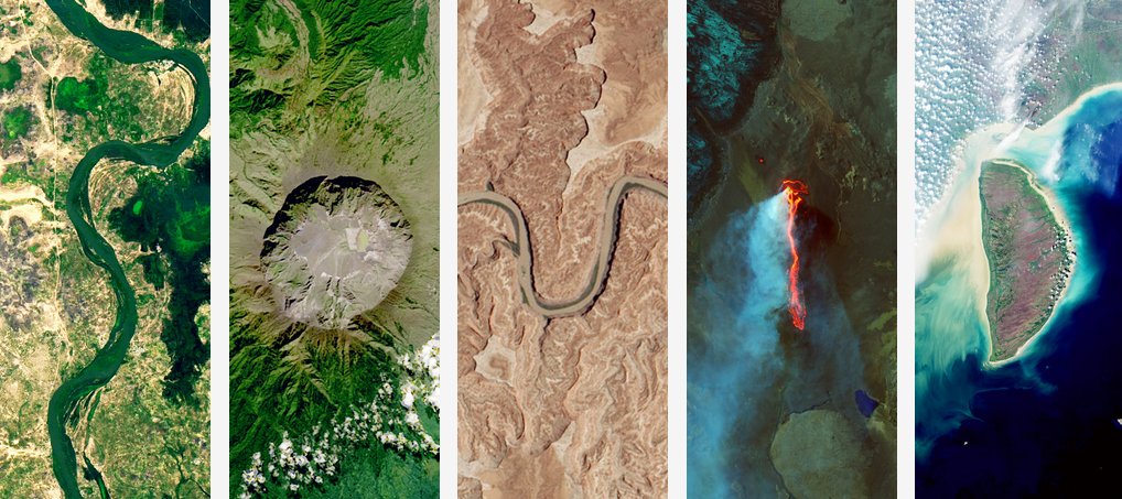 historicalsquid 🧛‍♀️🦑 tweet media