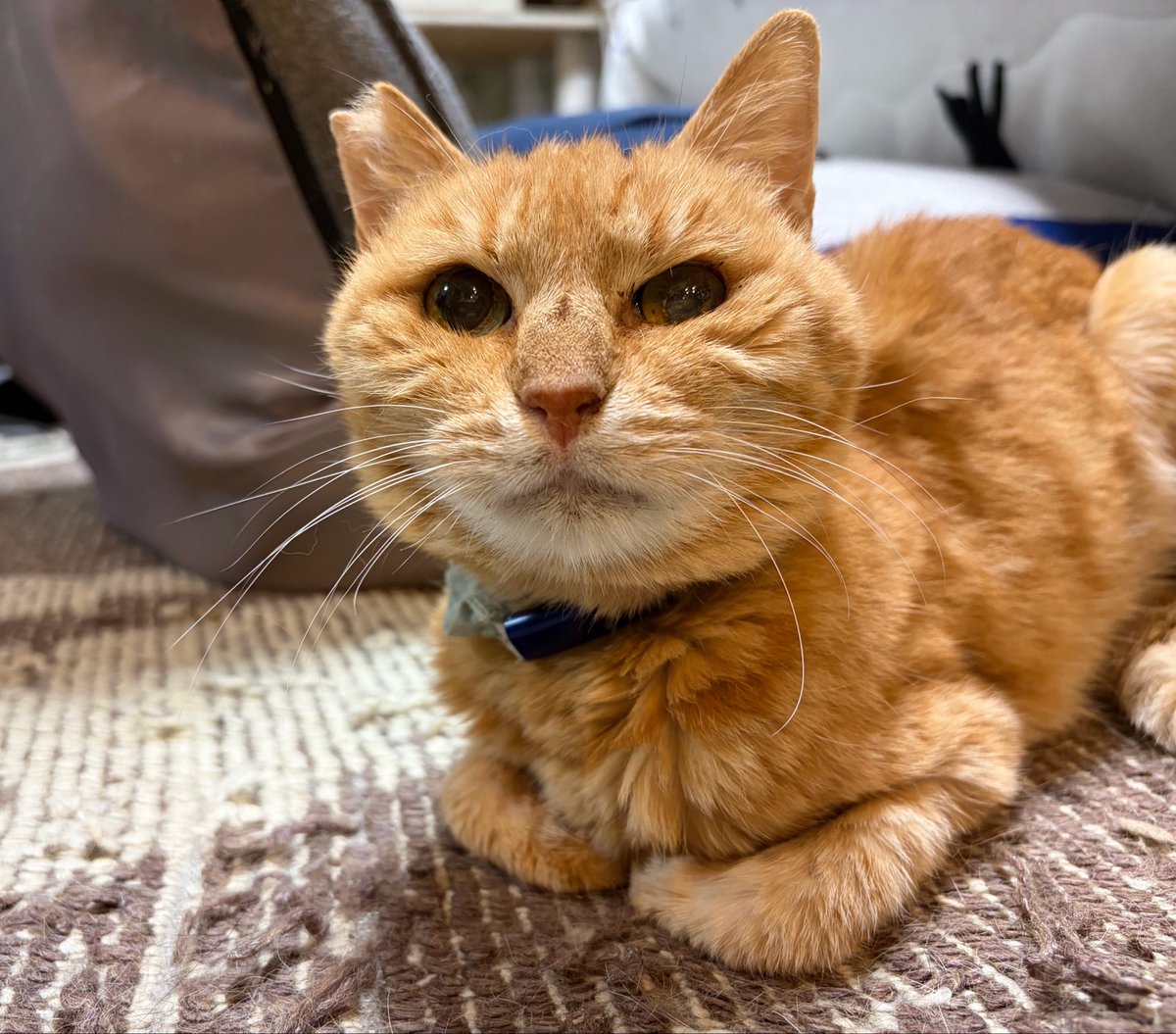 榮大金属株式会社【公式】 tweet media