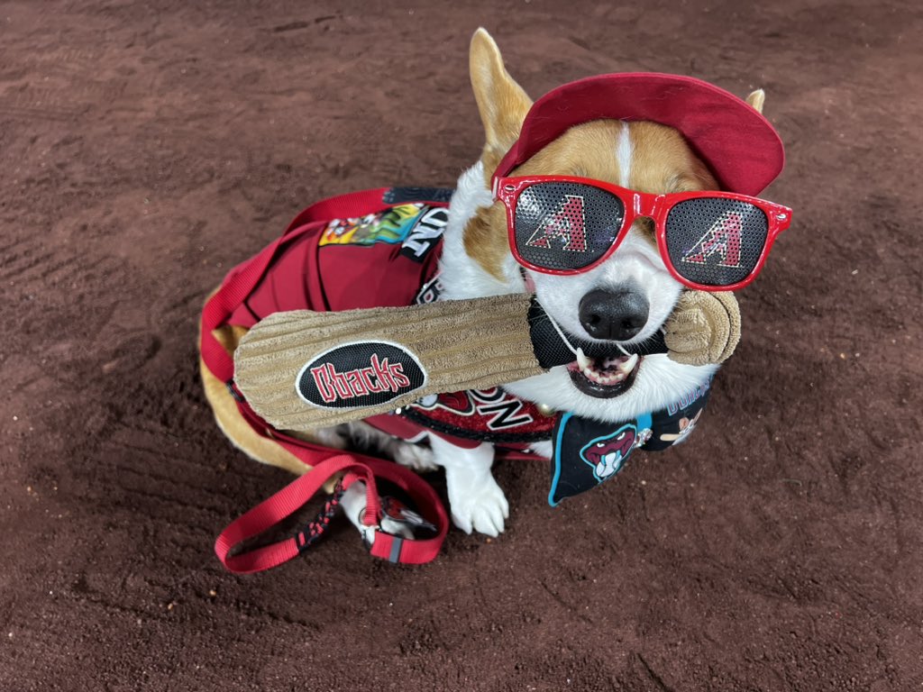 PHNX Diamondbacks tweet media