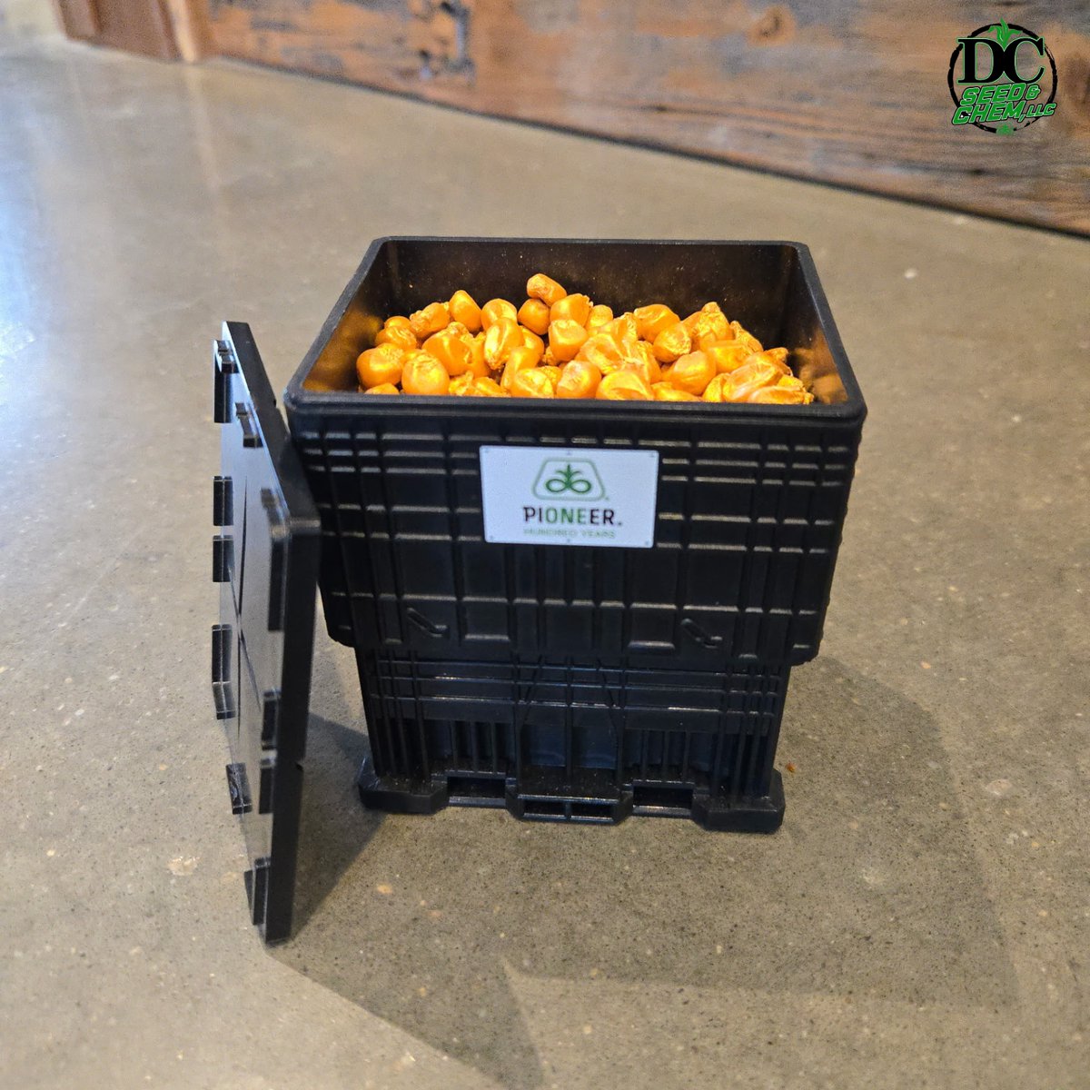 ChoatDallas's tweet photo. Word around the ag world is that @PioneerSeeds is doing something pretty fun for their 100-year anniversary: the “Golden Seed” incentive. 13 farmers across the U.S. who find 'gold' seed will earn trips to Iowa and Hawaii to tour Pioneer facilities and see the operation firsthand! https://t.co/pfn5Fe4wNI