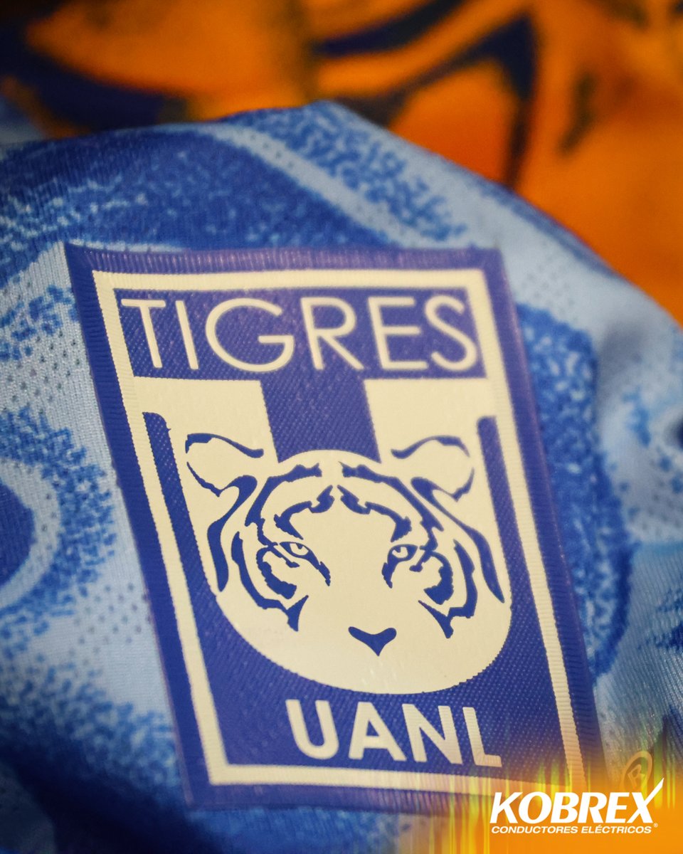 TigresOficial's tweet photo. 🐅 Nuestra piel, nuestro escudo.

@KobrexOficial https://t.co/n3w8vMhZZf