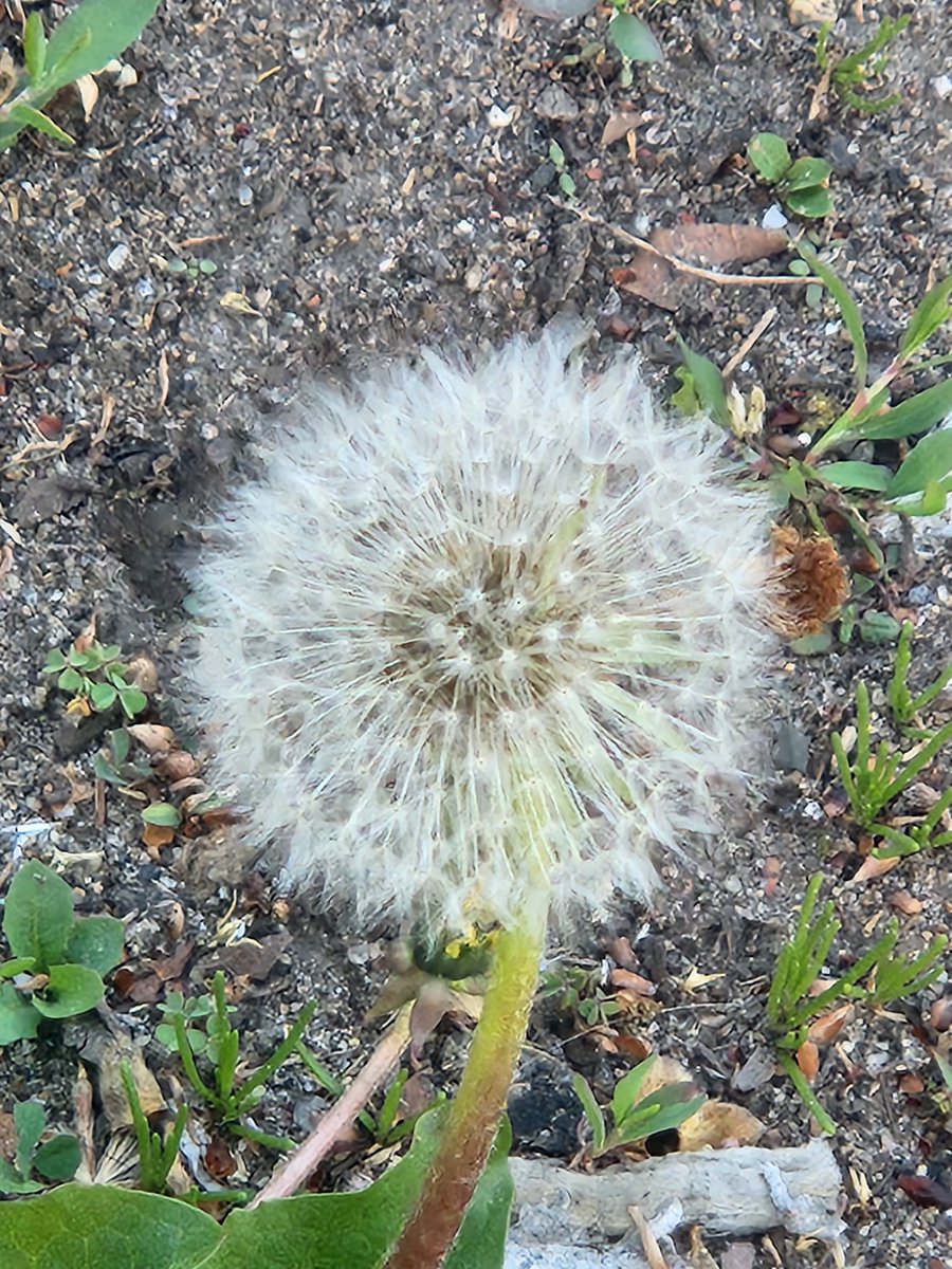 pinkJG's tweet image. Ma'am is still on her same #Wish . . .  S.E.  Eph 3:20