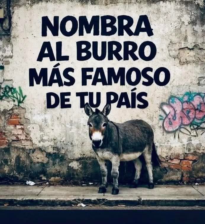 …..‼️Esa pregunta Ni se pregunta 🙋‍♂️ <a href="/alitomorenoc/">Alejandro Moreno</a> aquí te hablan …jajajaja 😂😂…….
👇🏻👇🏻👇🏻👇🏻👇🏻👇🏻👇🏻👇🏻👇🏻👇🏻👇🏻👇🏻