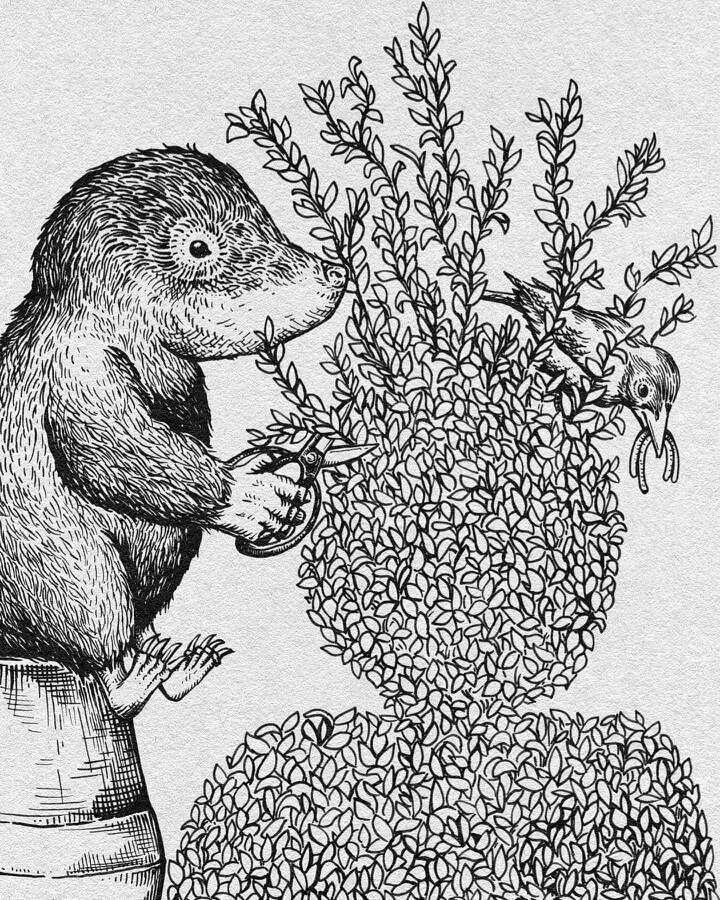 (press the link, to see of this)
The #mole and #topiary.  🍃️🌺️🍃️
#Surreal and Funny Ink Animal Drawing. By Marion Kamper designstack.co/2022/08/surrea…