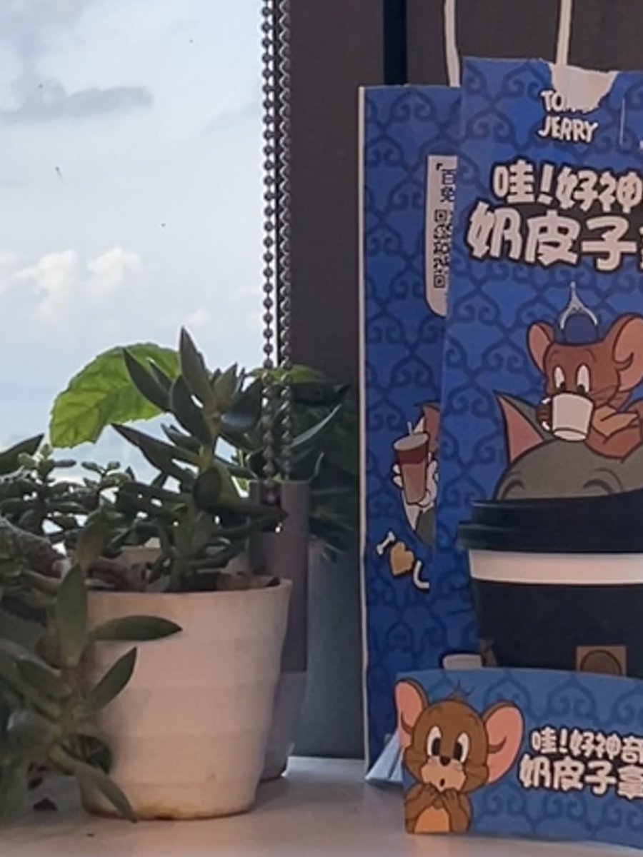 terry gomez tweet media