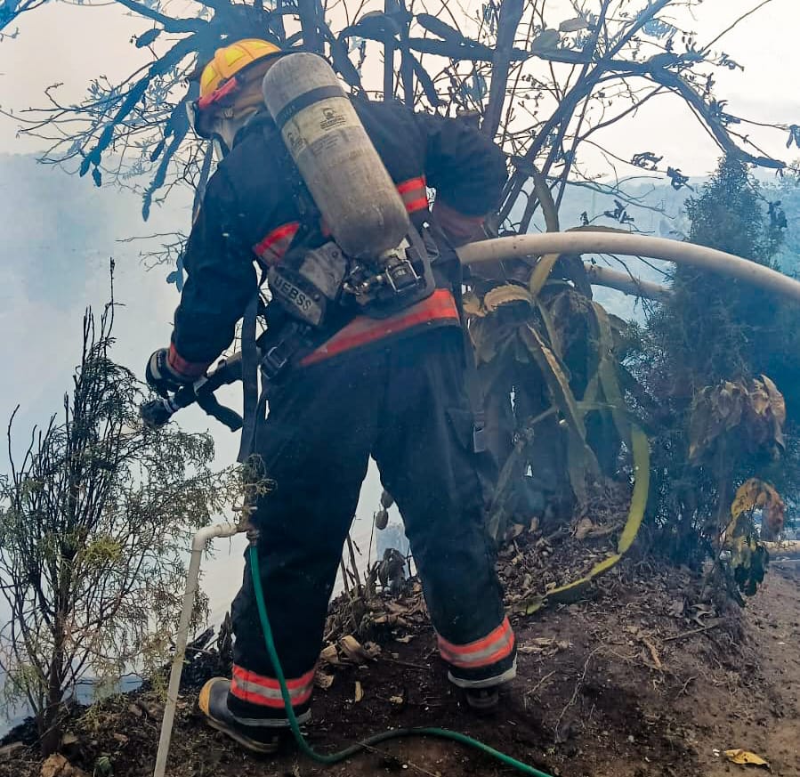 Bomberos El Salvador 🧑‍🚒🚒🇸🇻 tweet media