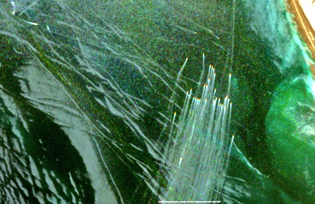 Egypt's Intel Observer tweet media