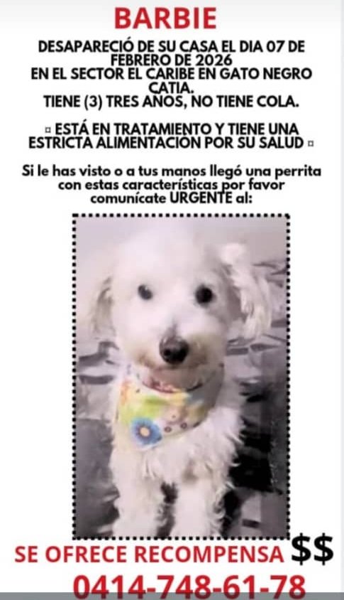 jefguz13's tweet image. SE BUSCA A BARBIE 🐶 Perdida en Gato Negro, Catia (Sector El Caribe).
No tiene cola y necesita sus medicinas con urgencia. 💊 Si la viste, llama al 0414-748-61-78. ¡Hay recompensa! 💸
#Caracas #Catia #GatoNegro #PerroPerdido #ServicioPublico #Barbie #Venezuela #MascotaPerdida