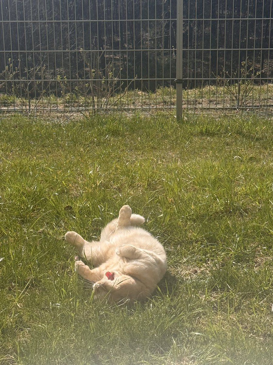 𝕾𝖊𝖇𝖔𝖓𝖆𝖋𝖎𝖉𝖊🫥 tweet media