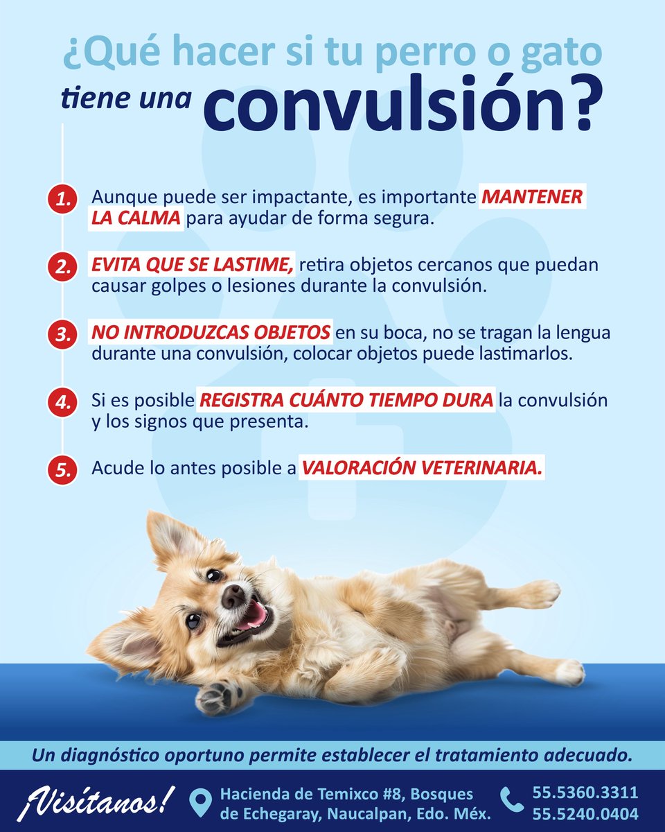 VeterinariadelBosque tweet media