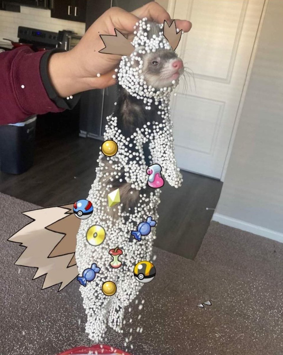 Pokémon Perfect Shots tweet media