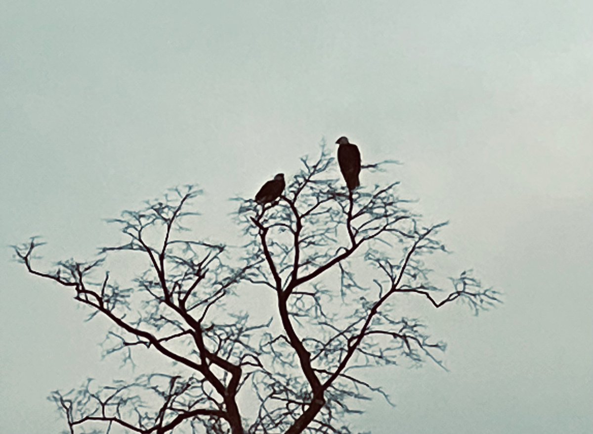 DEM_Worldwide's tweet image. #Revival!!!
‘He that overcomes, the same shall be clothed in white raiment, and I will not blot out his name out of the book of life; but I will confess his name before my Father, and before his angels’
#Impact #SpiritualWarrior #Eagles #Jesus *Listen to our latest