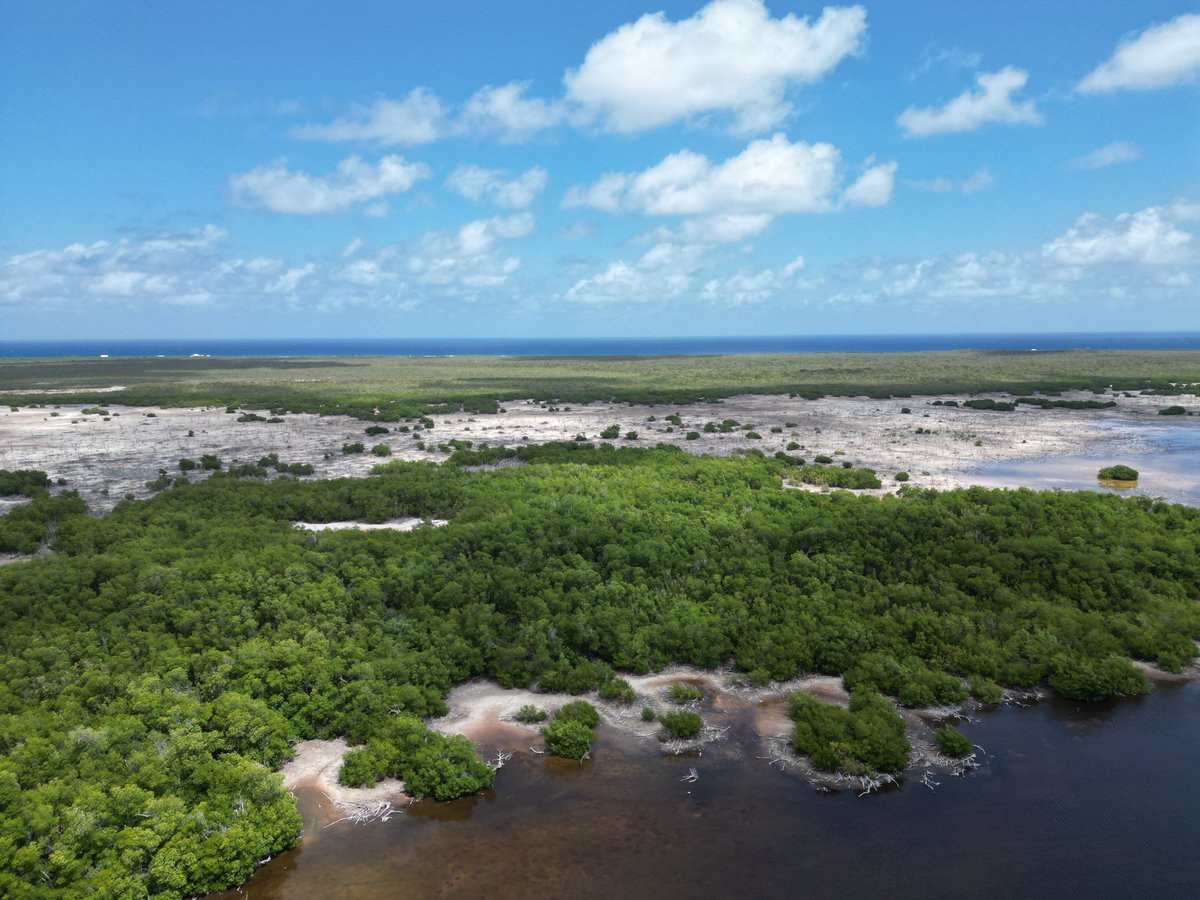 Cayman Islands Government tweet media